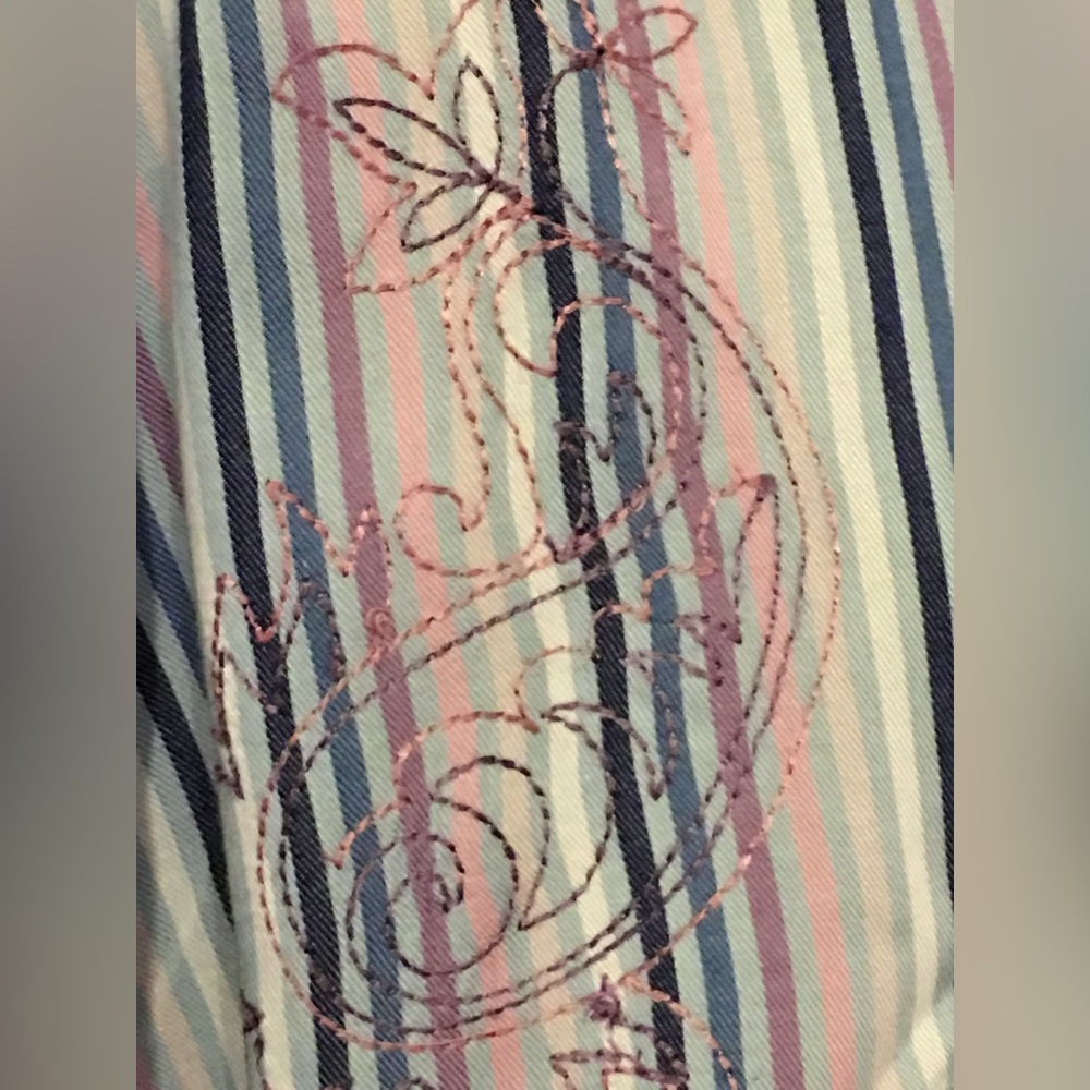 Vintage SYNrGY Embroidered Paisley Stripe Button front Long Sleeve Shirt 3XL